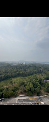 Pinetree Hill (D21), Condominium #615810331